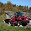 Afbeelding van YANMAR V100 SHOVEL