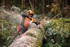 Afbeelding van STIHL MS 500i - 63 KETTINGZAAG