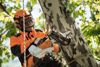 Afbeelding van STIHL MSA 161 T - 25 ACCUKETTINGZAAG