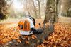 Afbeelding van STIHL BR 700 BLADBLAZER